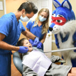 free dental care 2020